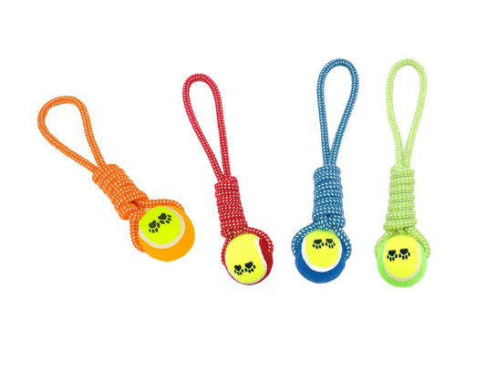 Pet Dog Toy Tennis Ball with Rope 36 cm Assorted Colours 7538 (Parcel Rate)