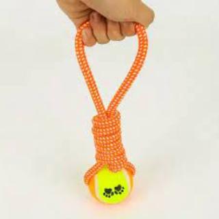 Pet Dog Toy Tennis Ball with Rope 36 cm Assorted Colours 7538 (Parcel Rate)